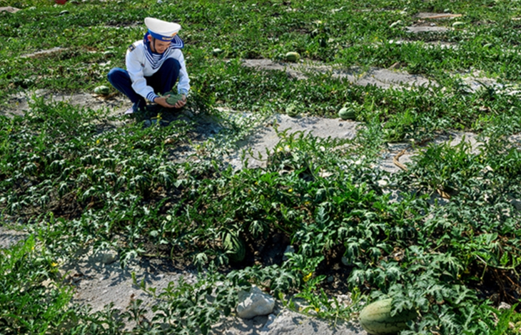 100 khoảnh khắc Trường Sa lay động người xem - Ảnh 11. Trường Sa - Ảnh 11.