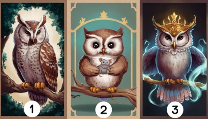 quiz - Ảnh 1.