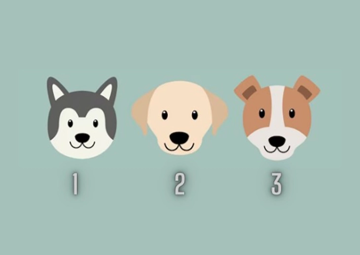 quiz - Ảnh 1.