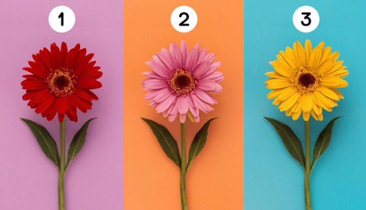 quiz - Ảnh 1.