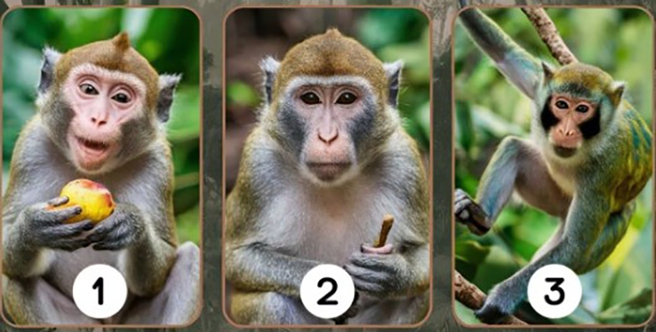 quiz - Ảnh 1.