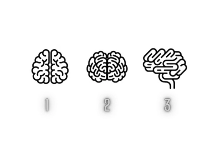 quiz - Ảnh 1.