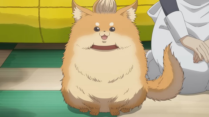 anime - Ảnh 5.