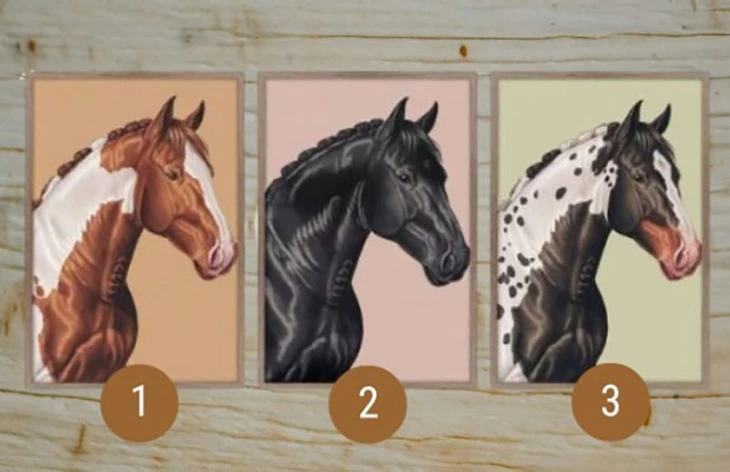 quiz - Ảnh 1.