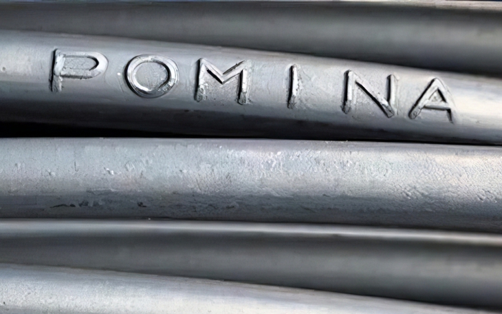 Doanh thu Pomina tăng mạnh sau khi bắt tay Vingroup nhưng vẫn lỗ tiếp quý thứ 17 - Ảnh 4.