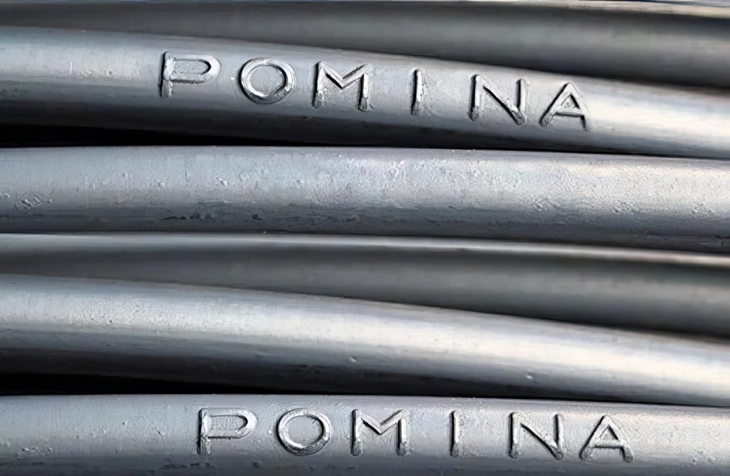 pomina - Ảnh 1.