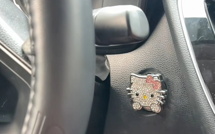 xe Toyota - Ảnh 1.