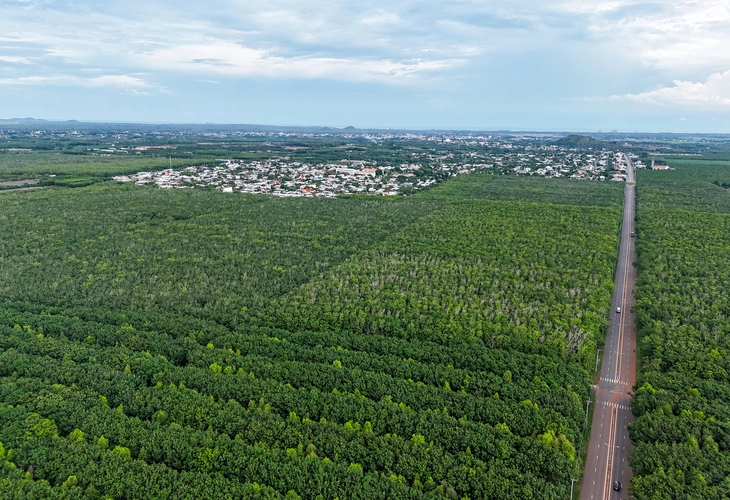 Ngắm phối cảnh, flycam cao tốc Hồ Tràm nối sân bay Long Thành vươn về đô thị biển - Ảnh 16.