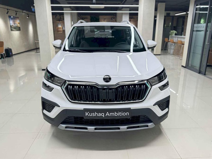 Skoda Kushaq - Ảnh 1.