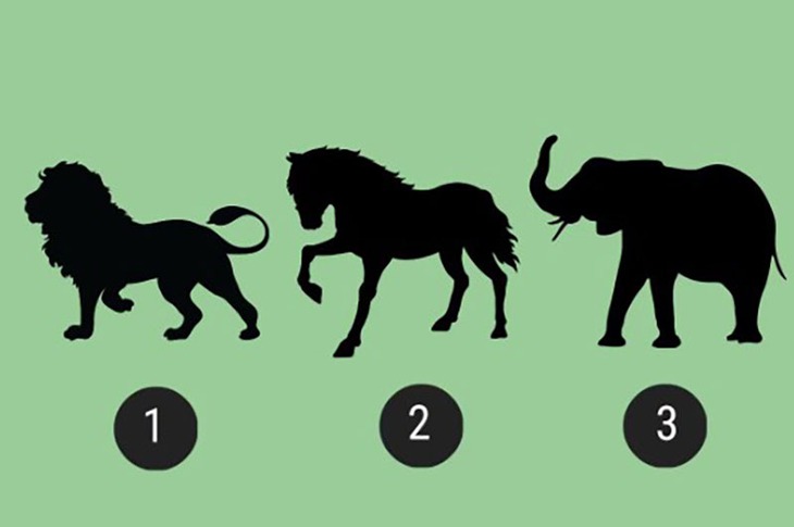 quiz - Ảnh 1.