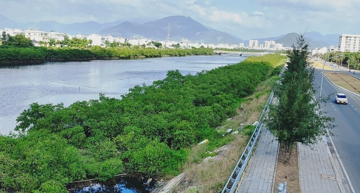 Cây mọc trái với thiết kế của dự án hơn 593 tỉ đồng: Doanh nghiệp 'hứa' dọn trước mùa mưa lũ - Ảnh 1.