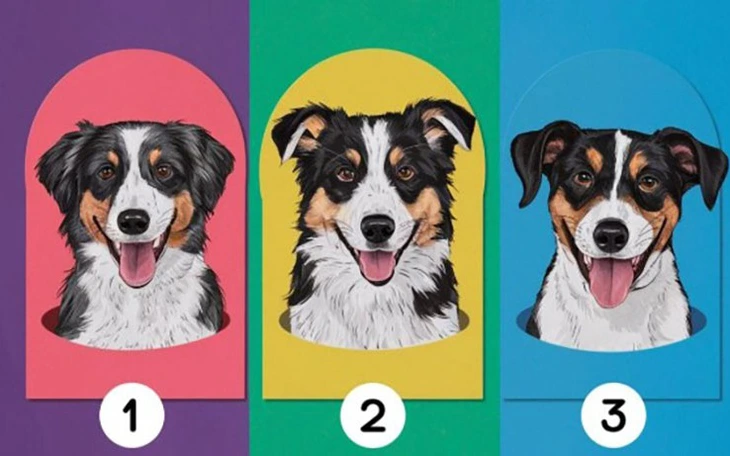 Quiz: Điều gì đang chờ đợi bạn phía trước? - Ảnh 2.