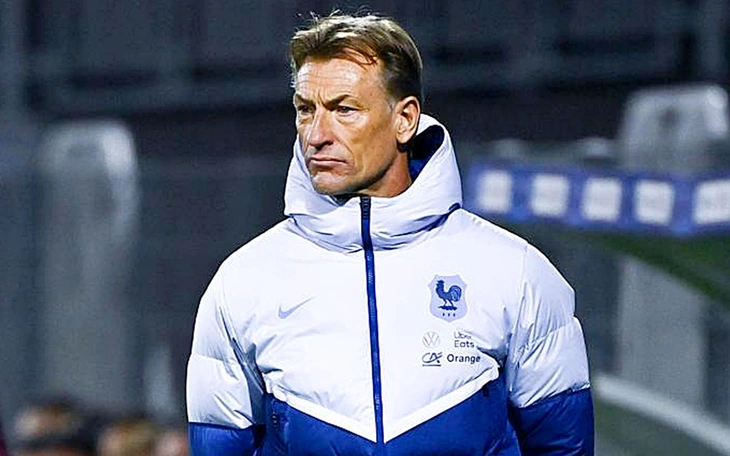 Cựu HLV Nam Định Herve Renard dẫn dắt đội tuyển Bờ Biển Ngà 2026 - Ảnh 3.
