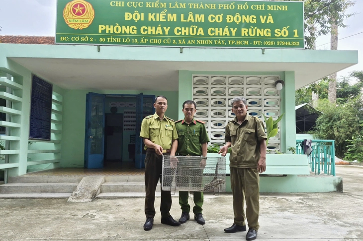 đại bàng - Ảnh 2.