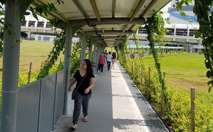 Miễn phí xe buýt từ 1-7: Cú hích cho giao thông công cộng - Ảnh 2.