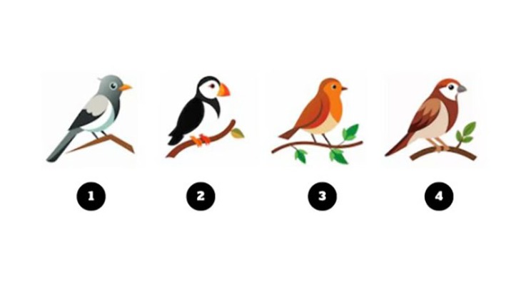 Quiz: Phẩm chất nào định hình cuộc sống của bạn? - Ảnh 1.