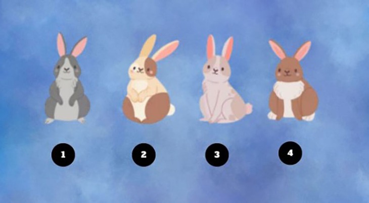 Quiz: Bạn là người không dễ dàng chấp nhận thất bại? - Ảnh 1.