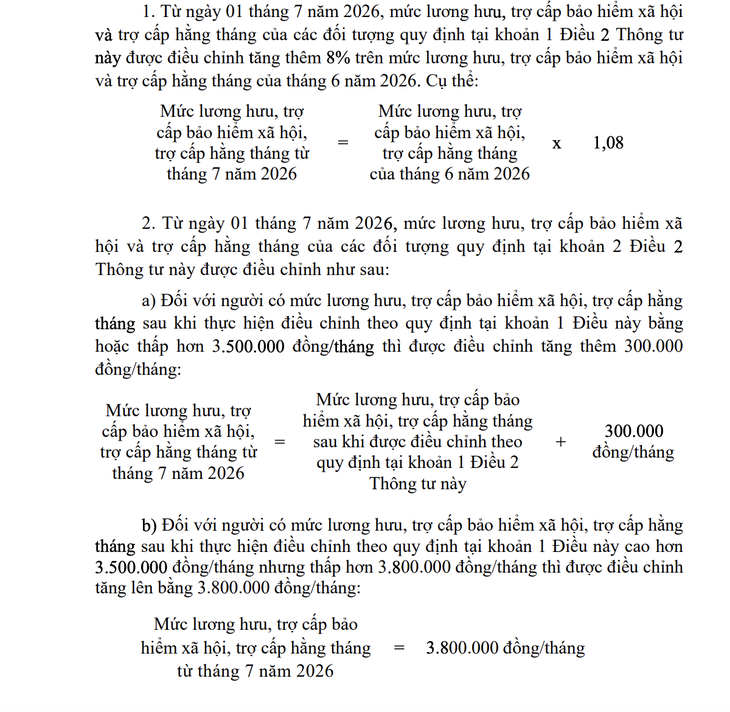 lương hưu - Ảnh 2.