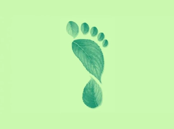 quiz - Ảnh 1.