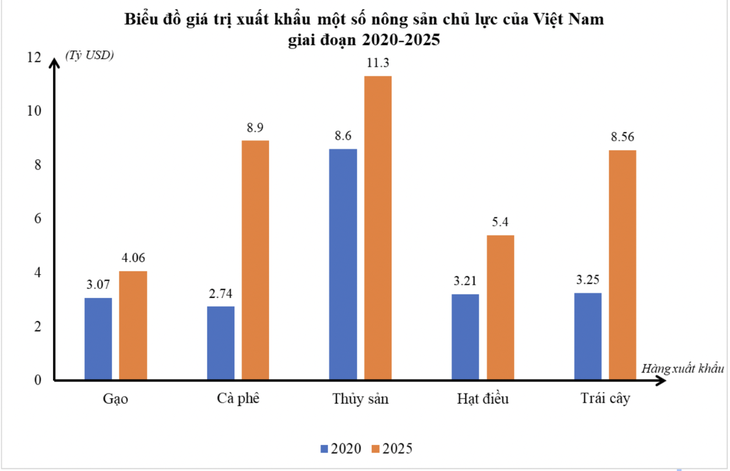 Thoát xuất khẩu thô, đưa nông sản Việt chinh phục thị trường cao cấp - Ảnh 3.
