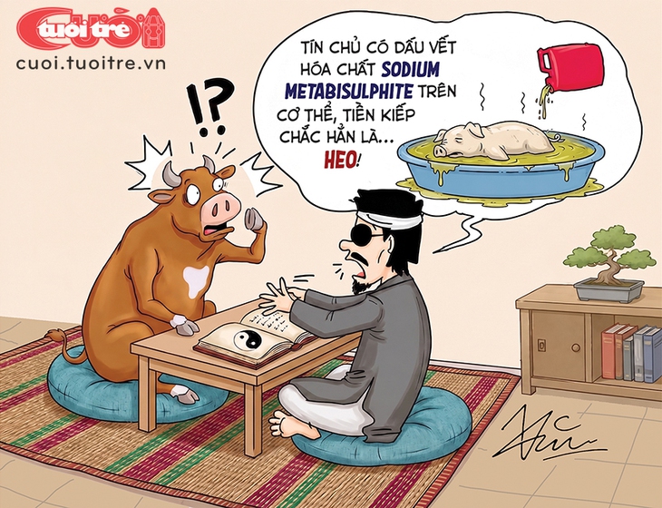 Bò đi xem bói bị phán 'tiền kiếp là heo' - Ảnh 1.