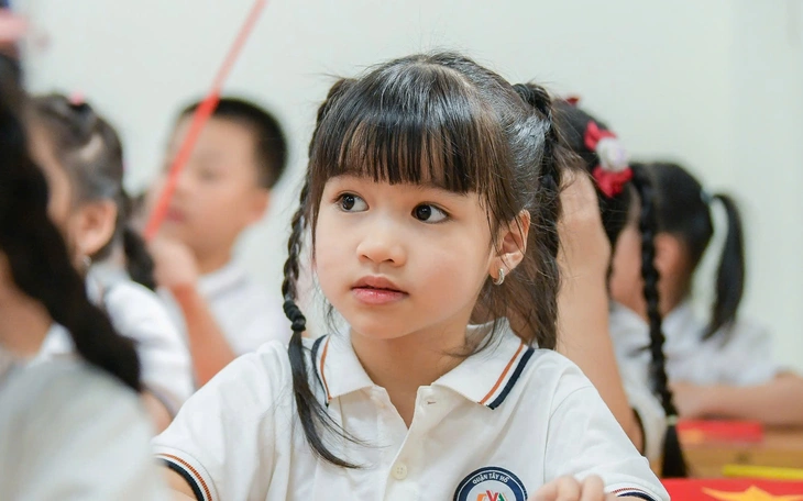 Tuyển sinh lớp 1,6 đại trà: Giải pháp trao quyền cho hiệu trưởng? - Ảnh 2.