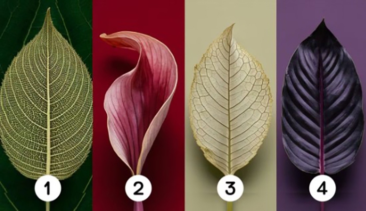 Quiz: Bạn sở hữu phong cách lãnh đạo tự nhiên và có sức hút? - Ảnh 1.