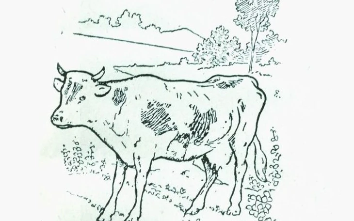 Thử tài tinh mắt: Con hươu thứ 6 ẩn nấp ở đâu? - Ảnh 7.
