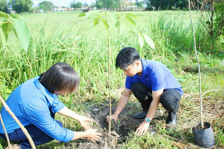 Củ Chi ra quân trồng 400 cây xanh, hưởng ứng phong trào 'Thành phố muôn sắc hoa'  - Ảnh 3.