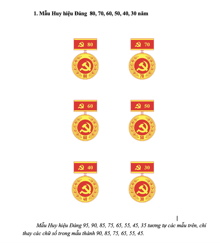 Ban Tổ chức Trung ương hướng dẫn mới về tặng Huy hiệu Đảng - Ảnh 3.