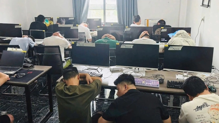 Công an TP.HCM phá rã nhiều đường dây người Trung Quốc chuẩn bị lừa đảo qua mạng - Ảnh 2.