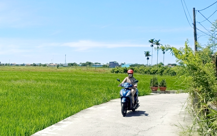 Thanh tra: Phần lớn lỗi tại 2 dự án Bàu Mạc thuộc về cơ quan quản lý nhà nước - Ảnh 3.