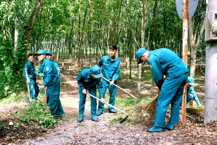 Dấu ấn đẹp 20 mùa Hành quân xanh - Ảnh 3.