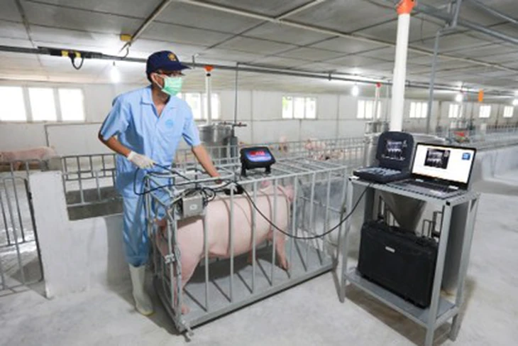 C.P. Việt Nam chia sẻ kinh nghiệm áp dụng mô hình kinh tế tuần hoàn   - Ảnh 10.