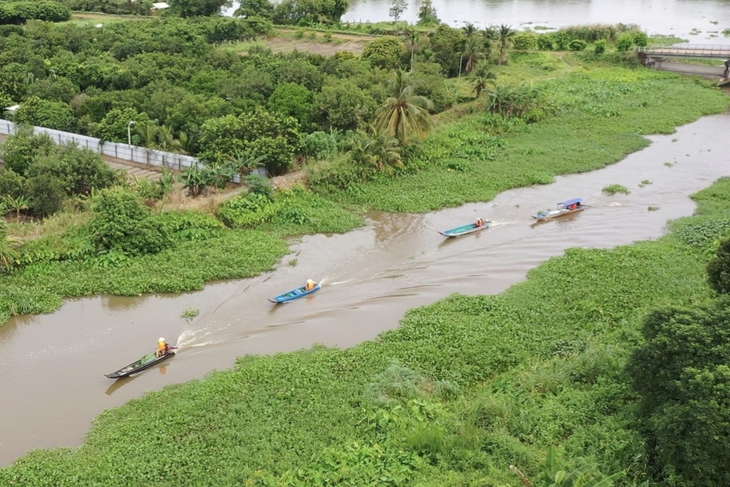 Du khách thích thú chèo xuồng, đi ca nô, hái trái cây, làm bánh cùng người dân Bình Mỹ - Ảnh 12.