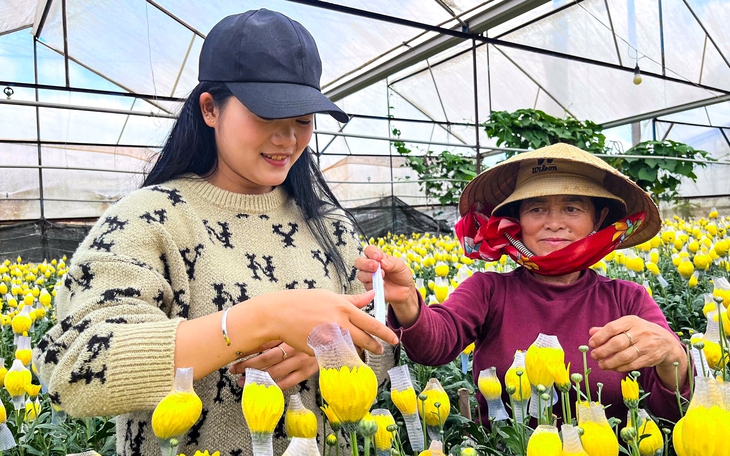 Giữ cây lúa là giữ lợi thế chiến lược của Việt Nam - Ảnh 4.