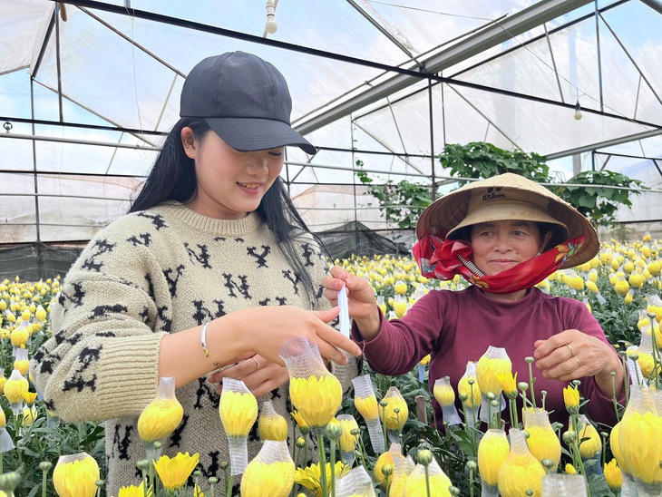 Nông nghiệp chữa lành - Ảnh 1.