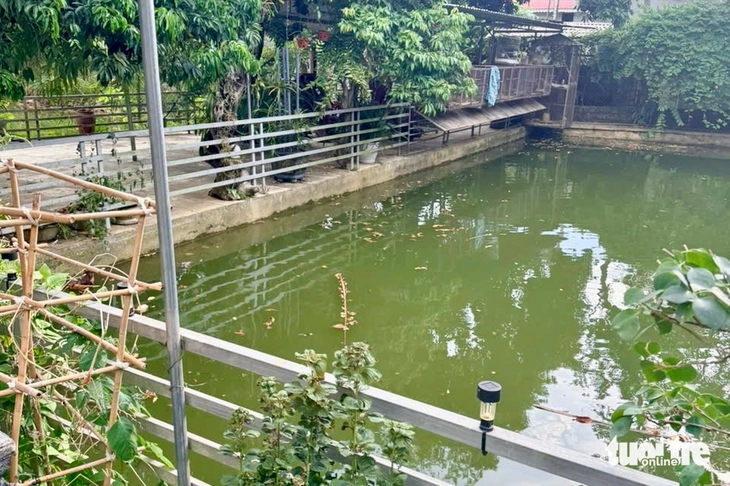 Mẹ nghèo khóc ngất khi hai con chết đuối dưới ao - Ảnh 1.
