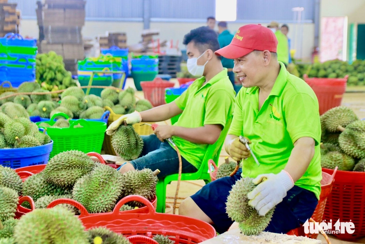 Doanh nghiệp đề xuất 'luồng xanh' để gỡ điểm nghẽn phát triển - Ảnh 5.
