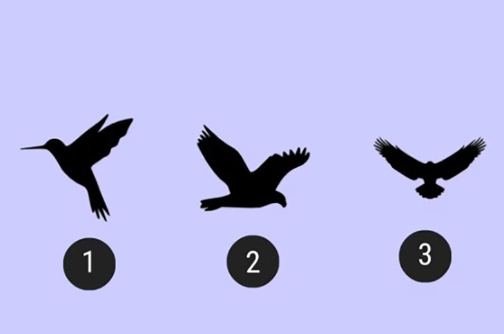 Quiz: Triết lý sống của bạn là gì? - Ảnh 1.