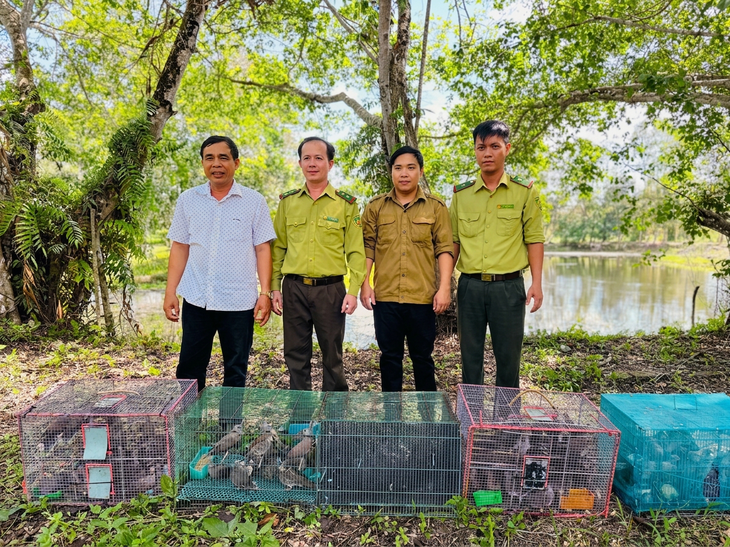 500 chim cu đất bị buôn bán trái phép được thả về rừng U Minh Thượng - Ảnh 2.