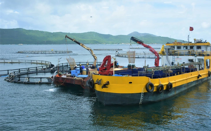  Phải coi dữ liệu biển là hạ tầng chiến lược của quốc gia - Ảnh 4.