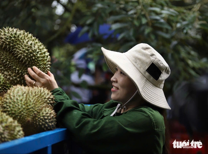 Gỡ nút thắt đất đai để Đắk Lắk hút đầu tư vào nông nghiệp công nghệ cao - Ảnh 3.