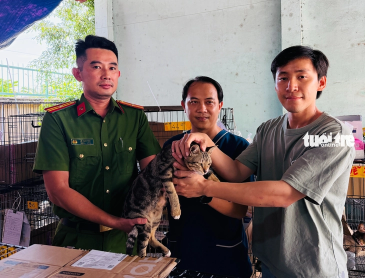 Dùng AI tìm chủ cho hàng trăm con mèo được Công an TP.HCM giải cứu - Ảnh 1.