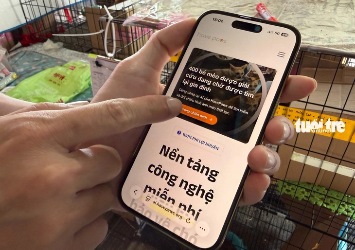 Dùng AI tìm chủ cho hàng trăm con mèo được Công an TP.HCM giải cứu - Ảnh 3.