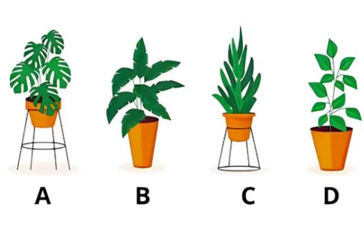 Quiz: Vận mệnh đang thử thách lòng kiên nhẫn của bạn như thế nào? - Ảnh 2.