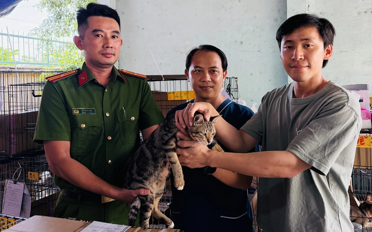 Gần 50 con mèo bị trộm đang ở Công an xã Đông Thạnh chờ chủ đến đón  - Ảnh 3.