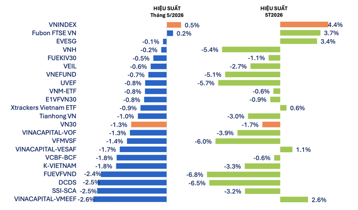 Hơn 80 % qũy cổ phiếu âm hiệu suất dù VN - Index tăng trưởng trong tháng 5 - Ảnh 1.