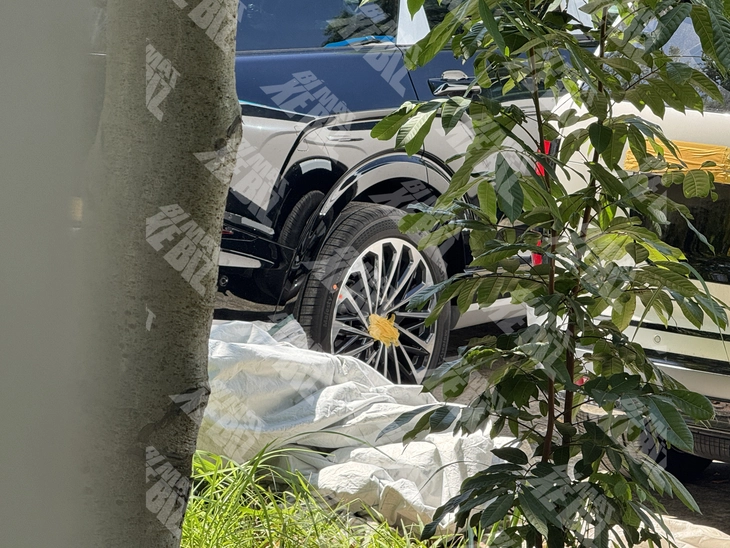 Hyundai Palisade thế hệ mới lộ diện ở Việt Nam:  - Ảnh 4.