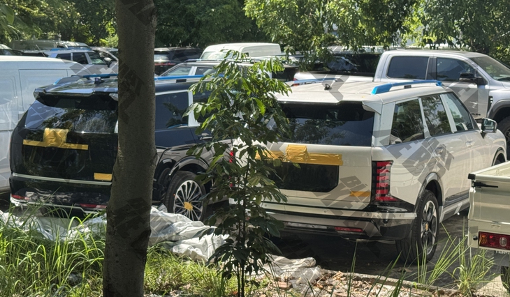 Hyundai Palisade thế hệ mới lộ diện ở Việt Nam:  - Ảnh 1.